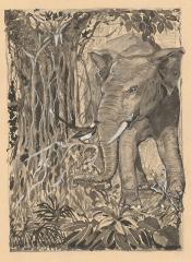 Иллюстрация "Слон"