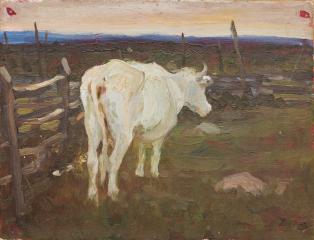 Белая корова у плетня