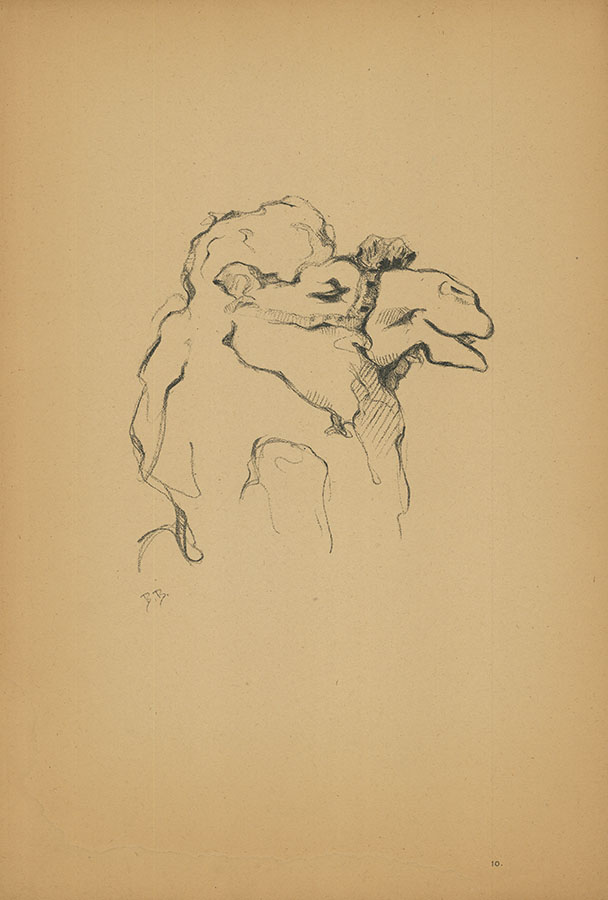 Верблюд. Лист 10. из серии "Рисунки в автолитографиях"