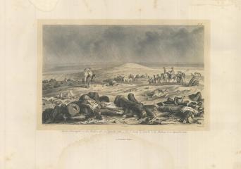 Литография № 56 из серии "Отечественная война 1812 года"