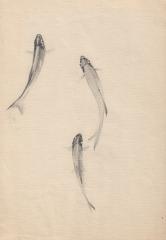 Два листа с рисунками "Рыбы", "Стрекозы"