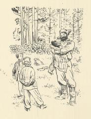 Иллюстрация "Найден медвежонок"