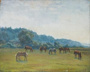 Лошади на пастбище