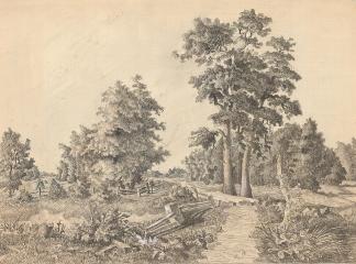 Рисунок "Дорога в лес"