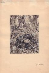 Слоны. Иллюстрация к книге Павловой Н. "Селагинелла – дитя пустыни"