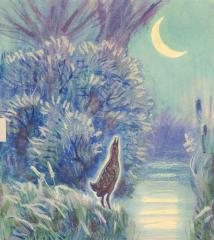 Ночная птица. Иллюстрация к книге А. Коптелова «Лесные походы»