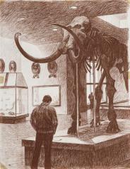 Из серии "Палеонтологический музей"