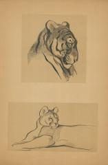 Тигр и пума. Лист №5 из серии "Рисунки в автолитографиях".
