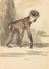 Иллюстрация к книге "Веселая обезьянка"  В. Чаплина