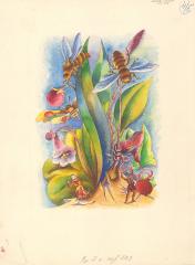 Иллюстрация к книге Брагина В. "В стране дремучих трав" (2)
