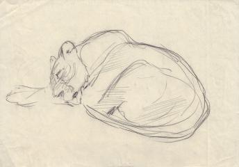 Рисунок "Спящая львица"