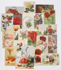Сет из 21 открытки с цветами и фруктами.