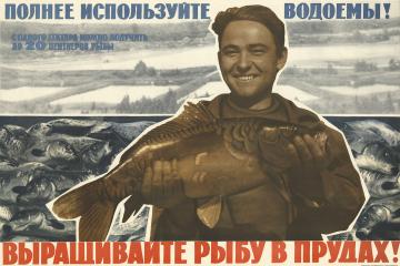 Плакат "Полнее используйте водоемы! Выращивайте рыбу в прудах!"