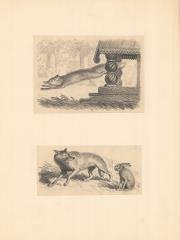 "Убегающая лиса" и "Лиса и заяц". Иллюстрации к книге «Зайка» (6)