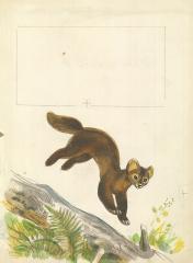 Прыгающий соболь. Иллюстрация к книге Плитченко А. "Медведь и соболь"