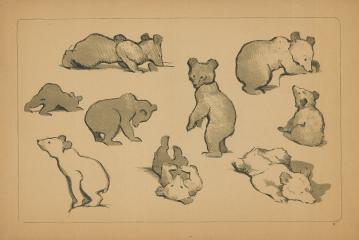 Медвежата. Лист №17 из серии "Рисунки в автолитографиях"