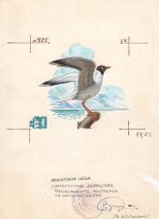 Оригинал-макет оформления почтового конверта + конверт "Реликтовая чайка"