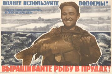 Плакат "Выращивайте рыбу в прудах!"