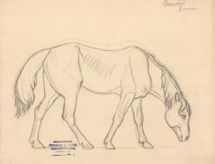 Рисунок "Лошадь"