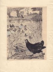 Курочка и утки. Иллюстрация к книжке М. Пришвина "Лисичкин хлеб"