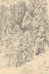 Рисунок "В зимнем лесу"