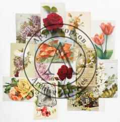 Сет из 13 дореволюционных открыток с цветами