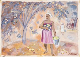 Девушка собирает яблоки