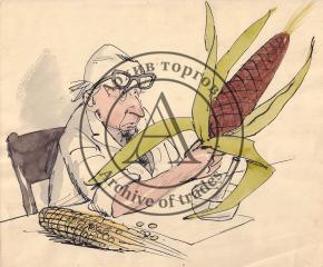 Карикатура "Кукуруза"
